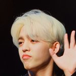 [세븐틴] 최승철 개귀엽다