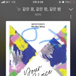 [세븐틴] 팬싸 의상