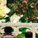 <b>벼락</b>치기 했는데도 성적 잘 나오는 애들 특징