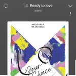 [세븐틴] 놀.토 시작!