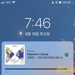 [세븐틴] 와 놀토에 캐럿 백퍼 있다