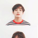 뷔 <b>전설</b>의 2분할 사진