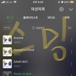 [세븐틴] 아니