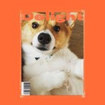 멍 암<b>유얼</b> 갠디 개가 막힌 개미스트리