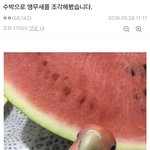 원래 <b>네이버</b>웹툰<b>앱</b> 이런거야??