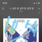 [세븐틴] 나만 스밍돌리는거 좋아하냐