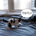 가보자고 <b>시초</b>가 ㄴㄱ임