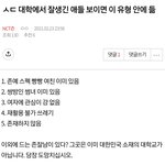 [NCT즌] ㅅㄷ 대학에서 잘생긴 애들 유형.<b>jpg</b>