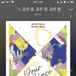 [세븐틴] <b>심심</b>해서 올리는