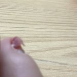 [TXT] ㅅㄷ <b>발톱</b> 부러졋어 사진잇음..