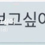 [세븐틴] 얘들아 그거 아니