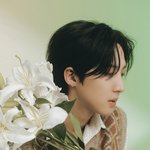 [펜타곤] 벽반이라 하는 질문!!
