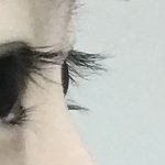 살짝 혐..)나 속눈썹 짱 <b>길어</b> ㄹㅇ