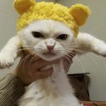 아 근데 아이돌들 <b>대단</b>한게