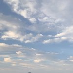 <b>커튼</b>쳐져서 해뜬지도 몰랐네 하 망함