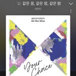 [세븐틴] 음<b>총팀</b>한테 문의하고 싶은거 있는데