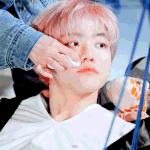 [NCT즌] 오랜만에 끌올 <b>핑크</b>머리 걔 나재민