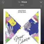 [세븐틴] 우리 서양.<b>수박</b> 주의할점