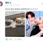 [엔하이픈] 미쳤다…