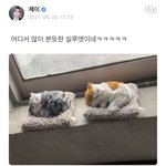 내 본진땜에 지금 정신 <b>혼미</b>해짐