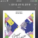 [세븐틴] 온라인으로 앨범 <b>산</b> 럿들아