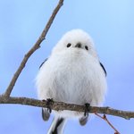 너네 <b>헤어컨설팅</b> 유튜버 도움 됨?