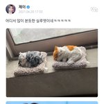 [모두드루와] <b>모에</b>화 과몰입 남돌 있음.