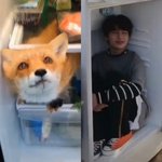 [스키즈] 이거 너무 귀여워ㅠㅜ