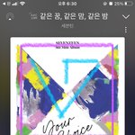 [세븐틴] ㅅㄷ?) 나 원래