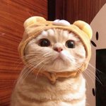 [댓글부탁해] 어울리는 졸업사진 <b>컨셉</b> 추천 좀ㅎㅎ