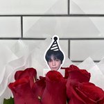 [NCT즌] 툥 생카 <b>장미</b> 너무 이쁘다