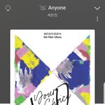 [세븐틴] ㅃㄹ이거 맞는지 확인 한번만