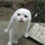 얘들아 수학에서 <b>윤리</b>가 필요한 이유