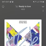 [세븐틴] 그런김에