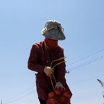 <b>농사</b>가 살빠진대.