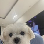 얘듫아미친거아냐팬싸녹화본보다죽을뻔