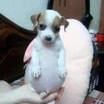 [ㅈㄱㄴ] 근데 <b>사교육</b> 진짜 중요한것같음