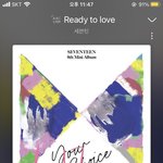[세븐틴] 스밍 끊기면