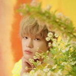 [NCT즌] 아 진짜 컨포장인 종천러