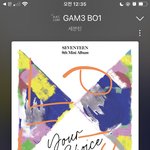 [세븐틴] ㅇㄴ 윙벙승샵 <b>송장</b> 번호 뜬 사람 있긴하냐?