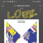 [세븐틴] 근데 얘들아 <b>선택적</b> 마플 아님?