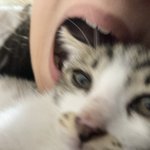 누구집 애기가 이 <b>밤중</b>에 악을쓰냐....