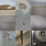 마지막추가후기))추가)))))이게 제가 세입자한테 갑질한건가요 ...