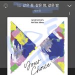 [세븐틴] <b>습관성</b> 탈골도 군면제 된다는데