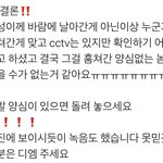 [<b>NCT</b>즌] 결국은 누가 빼간게 맞는거네