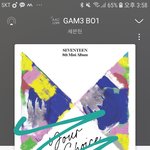 [세븐틴] 2차 <b>공구</b> 케타말고
