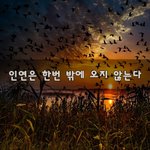 [너가봤으면] 인연은 한번 밖에 <b>오지</b> 않는다~