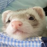 [황현진] <b>족</b>젭사진이나 모으고있고 어?