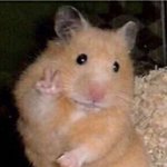 너네 이거 추반해봐