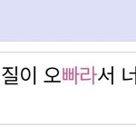 빠라가 <b>무슨</b><b>뜻</b>이야?